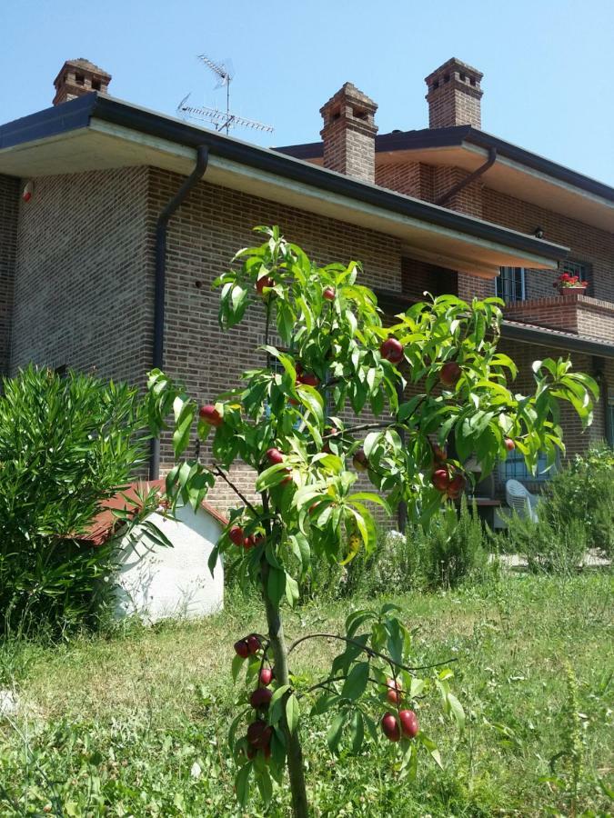 B&B Casa Dei Camini Бентивольо Экстерьер фото